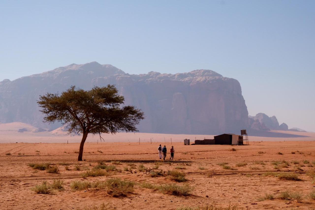 Wadi Rum Fig Tree Camp Exterior foto